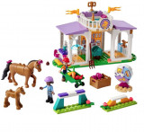 LEGO Friends - Dresaj pentru cai [41746] | LEGO