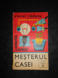 VIOREL RADUCU - MESTERUL CASEI