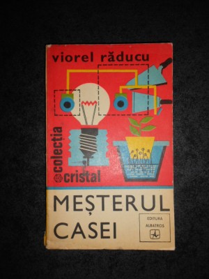 VIOREL RADUCU - MESTERUL CASEI foto