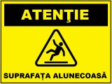Placuta suprafata alunecoasa