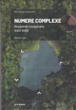 AS - BARTOLO LUQUE - NUMERE COMPLEXE , NUMERELE IMAGINARE SUNT REALE