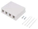 Carcasa RJ45 soclu Keystone albă murale mamă, Logilink