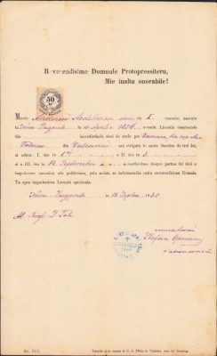 A2527N Licență de căsătorie, 1885, Nerău, județul Timiș foto