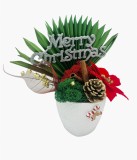 Aranjament Floral Merry Christmas cu Licheni si alte elemente naturale, Eventissimi, Multicolor