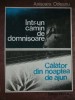 Intr-un camin de domnisoare - Calator din noaptea de ajun - Anisoara Odeanu