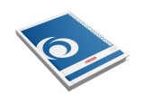 REGISTRU REPERTOAR A4 DICTANDO 100 FILE