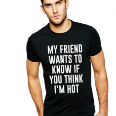 Tricou negru barbati - My Friend Wants To Know - S