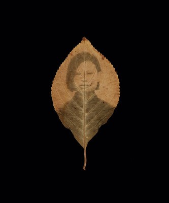Binh Danh: The Enigma of Belonging foto