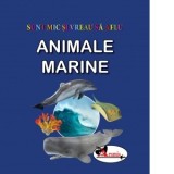 Sunt mic si vreau sa aflu - Animale marine