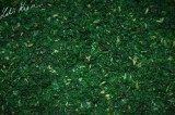 Nada LK BAITS IQ Method Ready Mix, Amur, 1.5kg