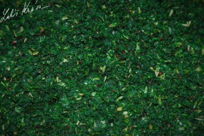 Nada LK BAITS IQ Method Ready Mix, Amur, 1.5kg foto