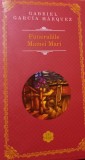 FUNERALIILE MAMEI MARI