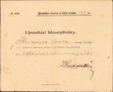 A829 Bilet de vaccinare pentru copil, 1906, S&acirc;nnicolau Mare, județul Timiș, limba maghiară