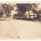 792 - BIZIGHESTI, Vrancea, Romania - old postcard, real PHOTO - used - 1918