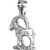 Pandantiv din argint 925, zodia capricorn
