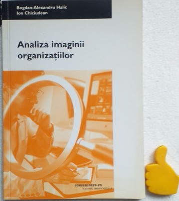 Analiza imaginii organizatiilor Bogdan-Alexandru Halic, Ion Chiciudean foto