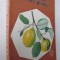La beaute par les plantes - B. Hlava , F. Pospisil , F. Stary