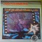 Disc Vinil Jimi Hendrix -Electrecord -ELE 03858