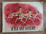 Si ele sint antilope- I. Akimuskin