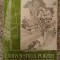 Limba Si Stilul Poeziei Lui Vasile Alecsandri - Florin D. Popescu , A230