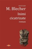 Inimi cicatrizate - Max Blecher, Seria de autor Max Blecher, Editie in limba romana