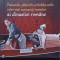PASIUNILE, PLACERILE SI HOBBY-URILE CELOR MAI CUNOSCUTI MEMBRI AI DINASTIEI ROMANE-DAN-SILVIU BOERESCU-255308