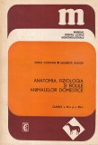 Vasile Cotofan, Elisabeta Gligor - Anatomia, fiziologia si bolile animalelor