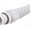 Presetupa poliamida, M20, IP68, BM GROUP - BM4920S