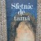Sfetnic de taina de Stefan Popescu