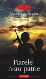 Fiarele n-au patrie - Uzodinma Iweala - Roman, Beletristica