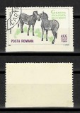 ROMANIA 1964 timbru stampilat 1.55 bani Gradina Zoologică - Zebra, eroare nedantelată la marginea de jos