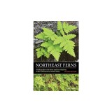 Northeast Ferns: A Field Guide to the Ferns and Fern Relatives of the Northeastern United States
