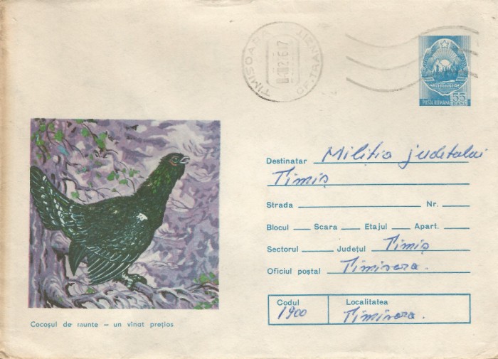 Romania, Cocosul de munte, plic circulat intern, 1976