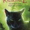 Pisicile razboinice, vol. 23. Sub semnul stelelor: Razboinicul uitat &ndash; Erin Hunter