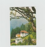 bnk cp Busteni - Vedere - necirculata