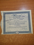 actiune - mica societate anonima romana miniera-certificat provizoriu- anul 1941