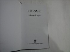 LUPUL DE STEPA - HERMANN HESSE foto