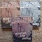 Marin Preda - Cel mai iubit dintre pamanteni (3 volume)