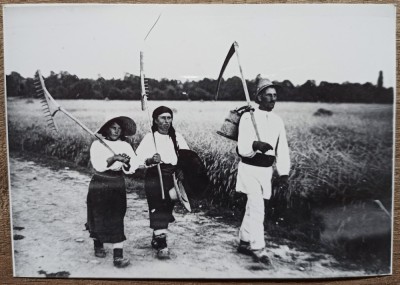 Tarani intorcandu-se de la munca campului, anii &amp;#039;30// reproducere de epoca foto