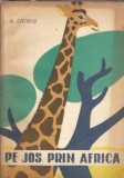 Cumpara ieftin Pe jos prin Africa, A. Liubos, Editura Tineretului, 1960, 149 pagini, roman clasic