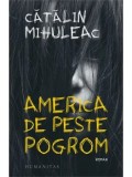 Cumpara ieftin America de peste pogrom/Catalin Mihuleac