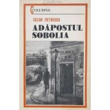 Adapostul Sobolia - Cezar Petrescu (J11)