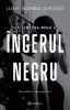 Ingerul Negru, Juan Gomez-Jurado - Editura Bookzone