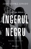 Cumpara ieftin Ingerul Negru, Juan Gomez-Jurado - Editura Bookzone
