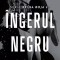 Ingerul Negru, Juan Gomez-Jurado - Editura Bookzone