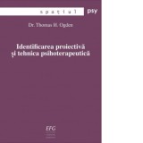 Identificarea proiectiva si tehnica psihoterapeutica - Thomas H. Ogden