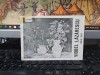 Viorel Lazarescu catalog, text Dan grigorescu și Marin Gherasim,Expozitie iulie 1987, GAMB, 013