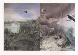 RF135 - Carte Postala - Falticeni. Muzeul apelor - Diorama Nada Florilor. necirculata 1996