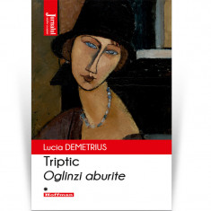 Triptic - Vol. 1 - Oglinzi aburite, - Lucia Demetrius