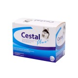 ANTIPARAZITAR INTERN PENTRU CAINI CESTAL PLUS CHEW (200TB CUTIE)